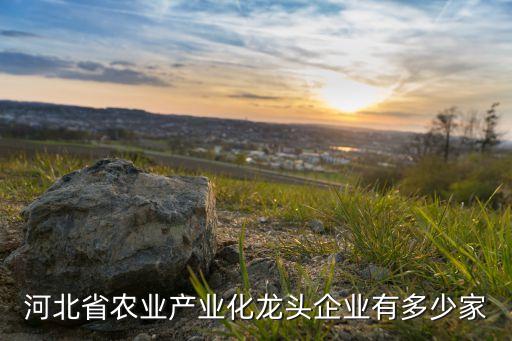 河北省農(nóng)業(yè)產(chǎn)業(yè)化龍頭企業(yè)有多少家