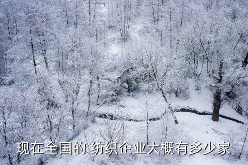 現(xiàn)在全國的 紡織企業(yè)大概有多少家