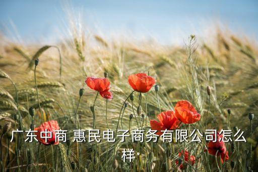 廣東中商 惠民電子商務(wù)有限公司怎么樣