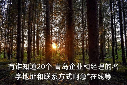 青島環(huán)球服裝有限公司,膠州環(huán)球服裝有限公司招聘