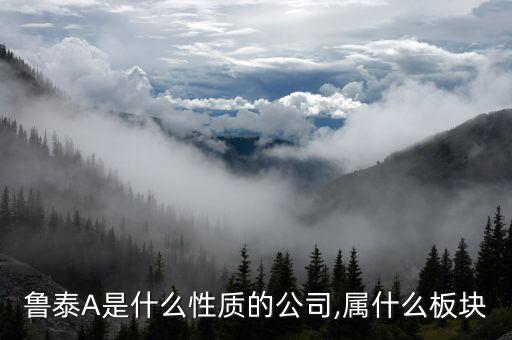 魯泰A是什么性質(zhì)的公司,屬什么板塊