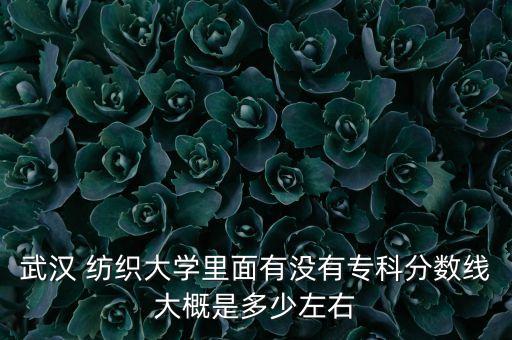 武漢 紡織大學(xué)里面有沒有專科分?jǐn)?shù)線大概是多少左右