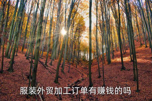 服裝外貿加工訂單有賺錢的嗎