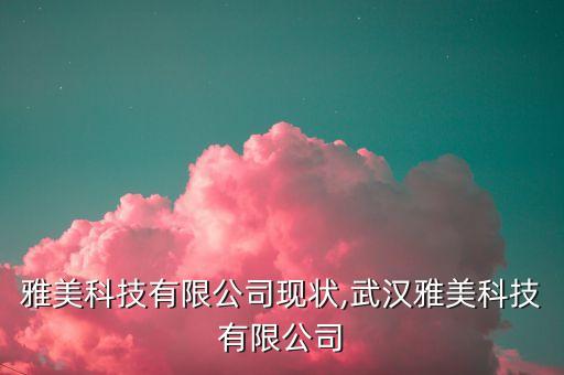 山東雅美科技有限公司現(xiàn)狀,武漢雅美科技有限公司