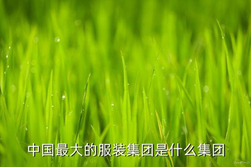中國最大的服裝集團(tuán)是什么集團(tuán)