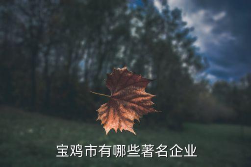  寶雞市有哪些著名企業(yè)