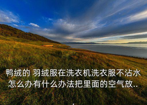 鴨絨的 羽絨服在洗衣機洗衣服不沾水怎么辦有什么辦法把里面的空氣放...