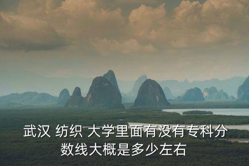  武漢 紡織 大學(xué)里面有沒有?？品?jǐn)?shù)線大概是多少左右