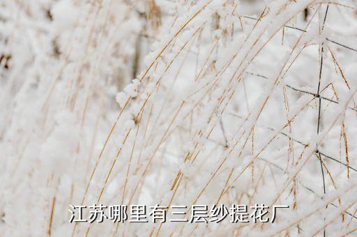 江蘇哪里有三層紗提花廠