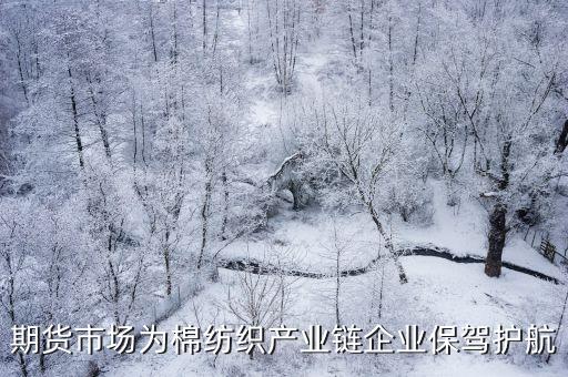 山東國(guó)冠棉業(yè)有限公司
