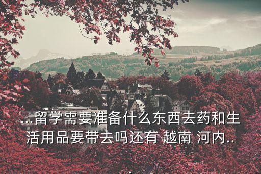 ...留學需要準備什么東西去藥和生活用品要帶去嗎還有 越南 河內(nèi)...