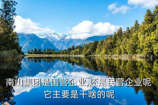 南山集團是國營企業(yè),還是民營企業(yè)呢它主要是干啥的呢