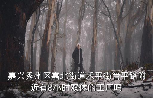  嘉興秀州區(qū)嘉北街道禾平街管平路附近有8小時(shí)雙休的工廠嗎