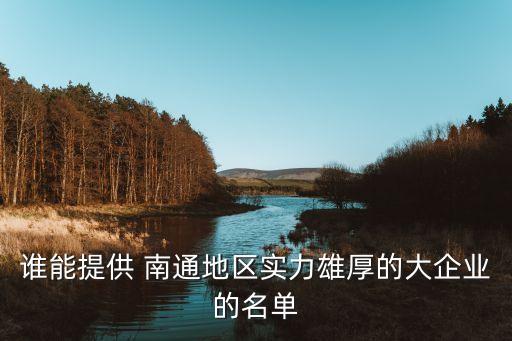 誰能提供 南通地區(qū)實力雄厚的大企業(yè)的名單