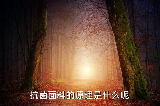抗菌面料的原理是什么呢