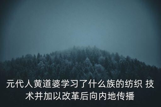 元代人黃道婆學(xué)習(xí)了什么族的紡織 技術(shù)并加以改革后向內(nèi)地傳播