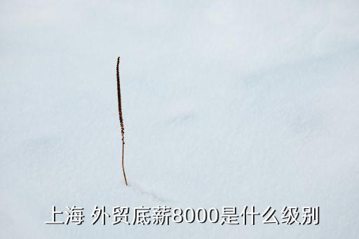 上海外貿(mào)紡織品
