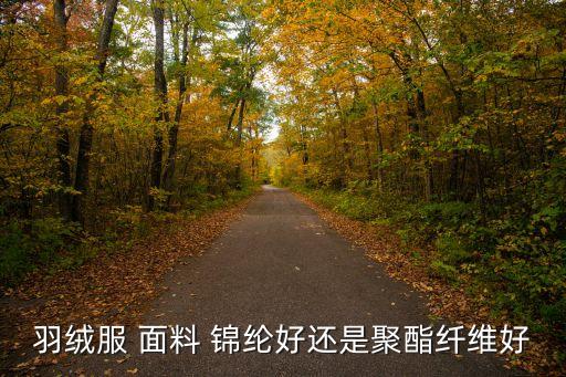 羽絨服 面料 錦綸好還是聚酯纖維好