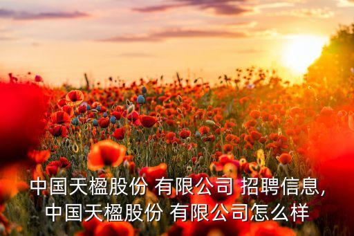 中國天楹股份 有限公司 招聘信息,中國天楹股份 有限公司怎么樣