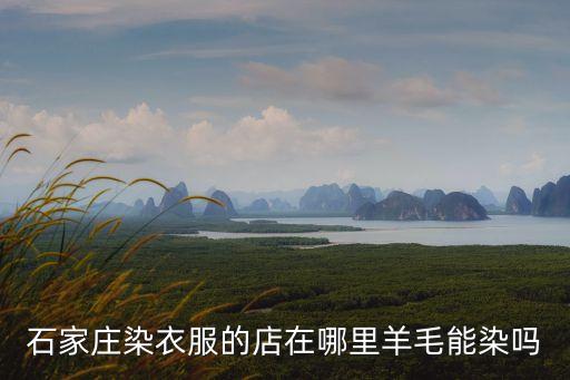 石家莊染衣服的店在哪里羊毛能染嗎