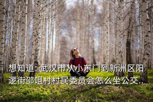 想知道: 武漢市從小東門到新洲區(qū)陽邏街邵咀村村民委員會怎么坐公交...