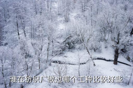 誰(shuí)在紡織廠做過(guò)哪個(gè)工種比較好些
