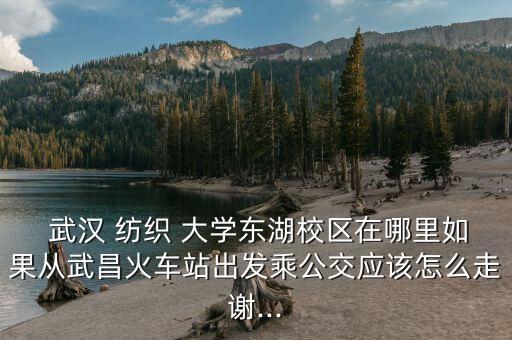  武漢 紡織 大學東湖校區(qū)在哪里如果從武昌火車站出發(fā)乘公交應該怎么走謝...