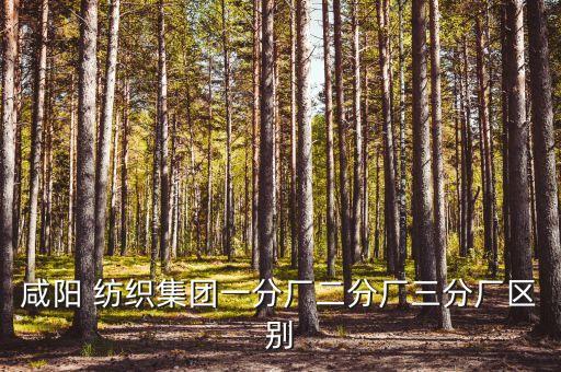 咸陽 紡織集團一分廠二分廠三分廠區(qū)別