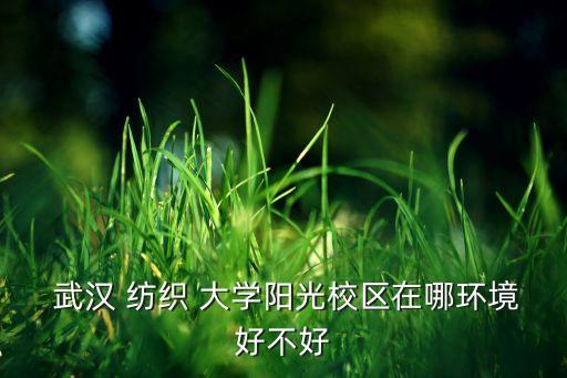 武漢紡織大學圖書館主頁