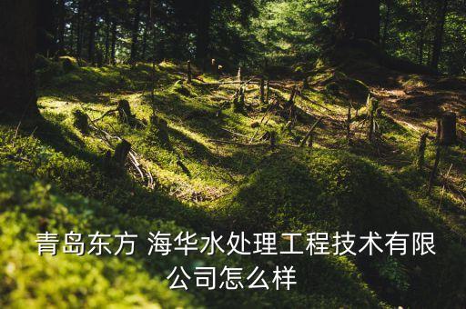  青島東方 海華水處理工程技術(shù)有限公司怎么樣