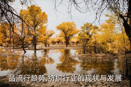 紡織品流行趨勢,紡織行業(yè)的現(xiàn)狀與發(fā)展