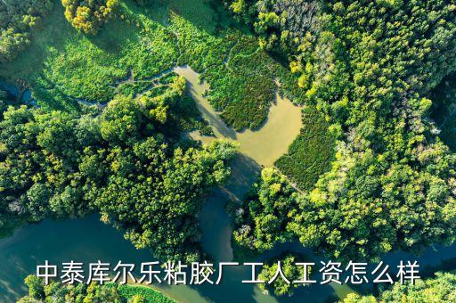 中泰庫爾樂粘膠廠工人工資怎么樣