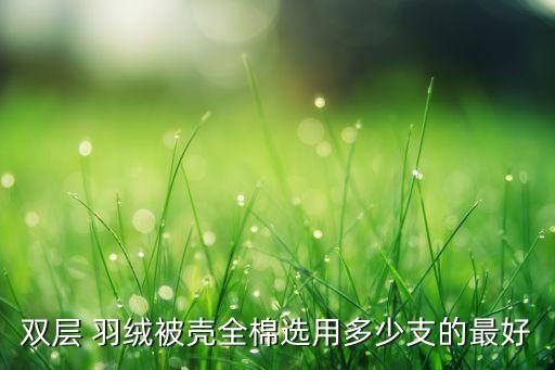 雙層 羽絨被殼全棉選用多少支的最好