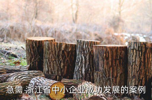 急需 浙江省中小企業(yè)成功發(fā)展的案例