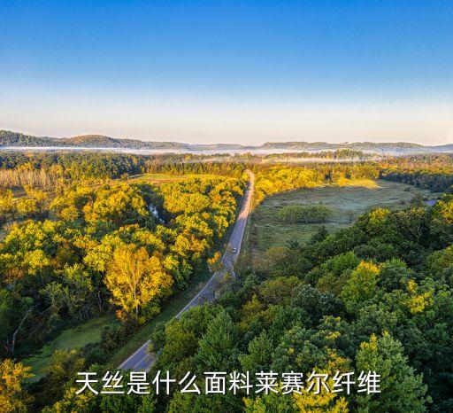 蘭溪天絲紡織有限公司,羅田縣天絲紡織有限公司