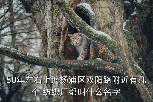 新昌縣先鋒紡織機(jī)械有限公司,浙江萬利紡織機(jī)械有限公司