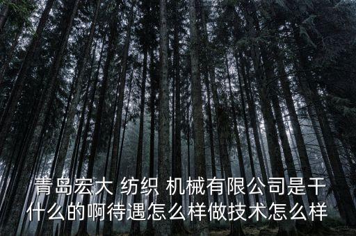  青島宏大 紡織 機械有限公司是干什么的啊待遇怎么樣做技術(shù)怎么樣