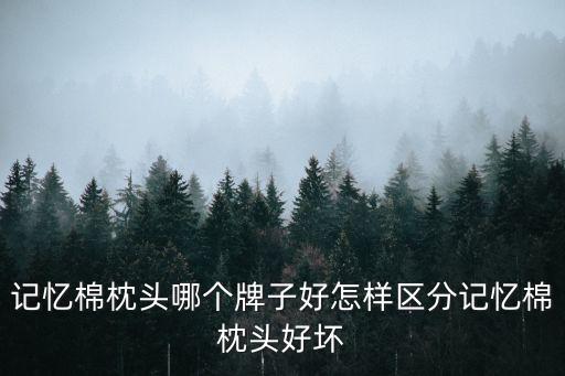 記憶棉枕頭哪個牌子好怎樣區(qū)分記憶棉枕頭好壞