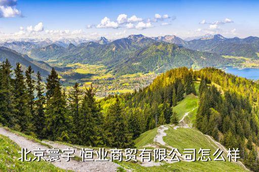 北京寰宇 恒業(yè)商貿(mào)有限公司怎么樣