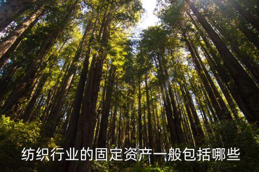  紡織行業(yè)的固定資產(chǎn)一般包括哪些