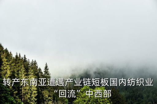 轉(zhuǎn)產(chǎn)東南亞遭遇產(chǎn)業(yè)鏈短板國內(nèi)紡織業(yè)“回流”中西部