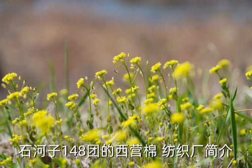 石河子148團(tuán)的西營(yíng)棉 紡織廠簡(jiǎn)介