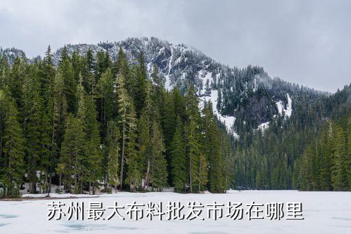 蘇州最大布料批發(fā)市場(chǎng)在哪里