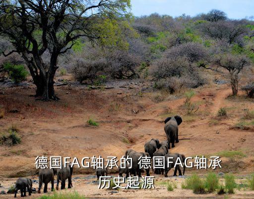  德國(guó)FAG軸承的 德國(guó)FAG軸承歷史起源