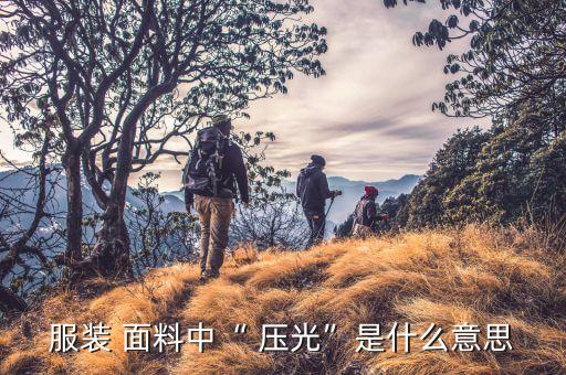 服裝 面料中“ 壓光”是什么意思