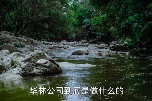  華林公司到底是做什么的