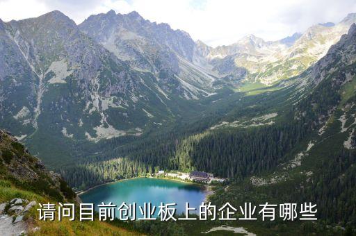請(qǐng)問目前創(chuàng)業(yè)板上的企業(yè)有哪些
