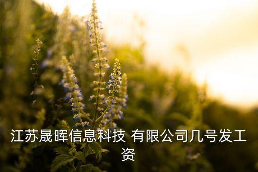 江陰晟暉服裝有限公司,江陰偉龍服裝有限公司怎么樣