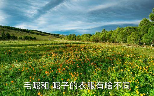 呢子面料小樣分析