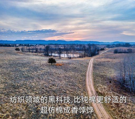 陜西越紅紡織有限公司,陜西帛宇紡織有限公司新項目